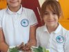 viber_image_2026-10-07_14-36-01-804