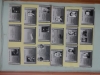 DSC00455