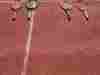 img-664682181b2a554b5d16dc6731aa163c-v