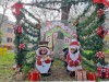 viber_image_2025-12-17_14-36-24-853
