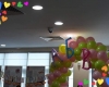 31530417_1206457756156697_8902715099999895552_n