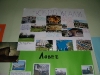Проект България