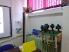 Проекти за гората