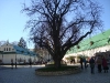 Киев