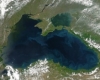 Ден на Черно море