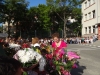 Надежда Чолакова - Учител в Начален етап и III д клас