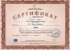 Елза Василева - Старши учител в Начален етап