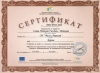 Слава Петкова - Възпитател в Начален етап