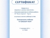 Помощник директор по УД