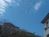 img_20240419_125024
