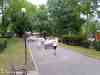 img-f57c28d31eed0e3e62f61a7452e430fd-v